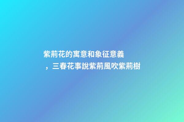 紫荊花的寓意和象征意義，三春花事說紫荊風吹紫荊樹